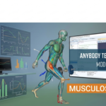 Modeling System v8.1.4.12797 (x64)