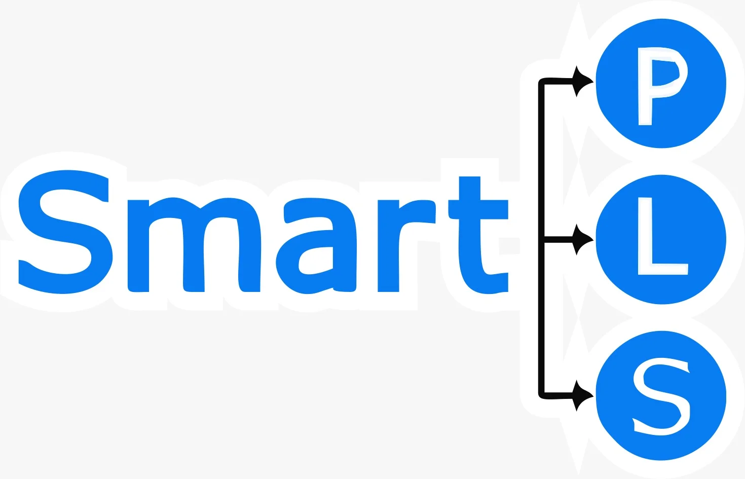 SmartPLS Pro