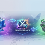 C3D Labs CADEX